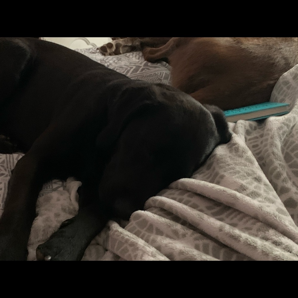 Meet your Posher, Caleigh